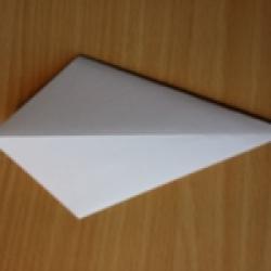 Origami Schwan aus Papier basteln Schritt 4