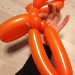 Hase aus Modellierballons basteln Schritt 6