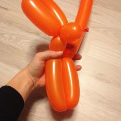 Hase aus Modellierballons basteln Schritt 4