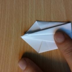 Origami Schwan aus Papier basteln Schritt 6